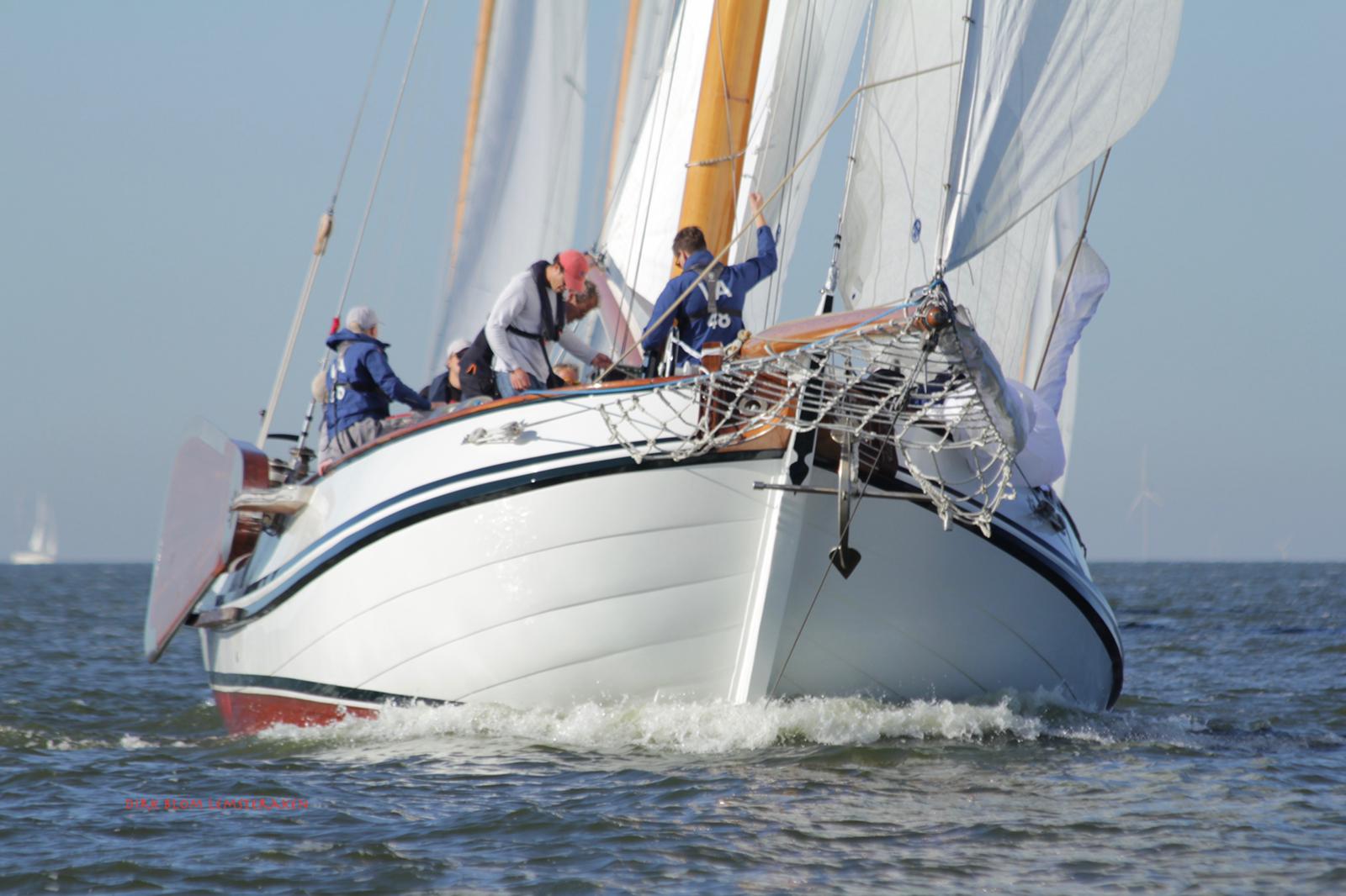 Trimstar (surfkoord)