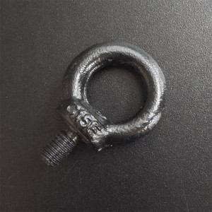 zwart verzinkte oogbouten